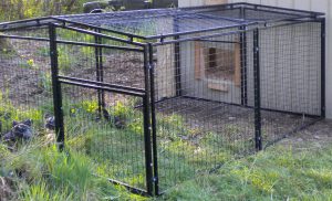 Chickens Rugged Ranch Pen