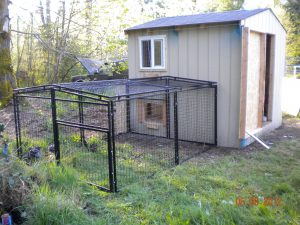 Chicken Run and Coop